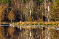 The last days of Autumn