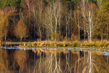 Les derniers jours de l'automne
