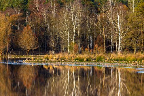 The last days of Autumn