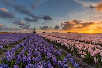 The essence of sunset by Costas Ganasos