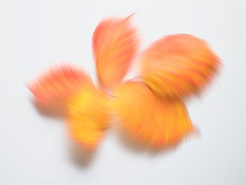 Speelse herfstkleuren 6