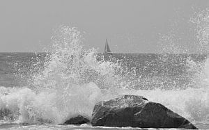 Splash