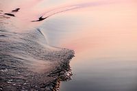 Waves 3