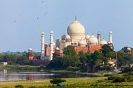 Taj Mahal mit Yamuna im Vordergrund von Jan Schuler Miniaturansicht