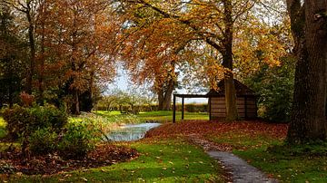 Herfst Landgoed Fraeylemaborg Slochterbos van R Smallenbroek