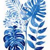 Bladeren indigo van Caroline Guerain