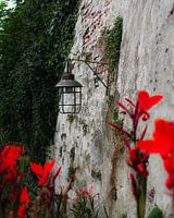 City wall Zaltbommel