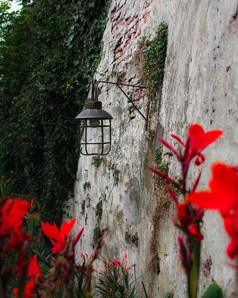 City wall Zaltbommel by Tabitha den Hartog