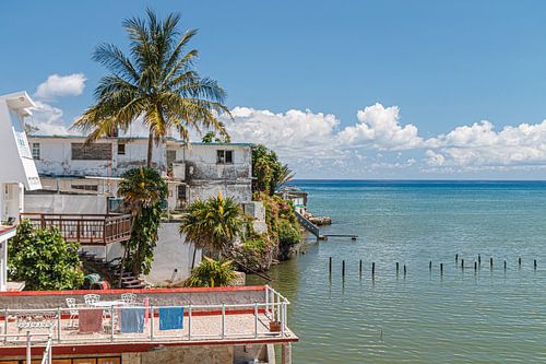 Cojimar-Palmen und Meer in Cua