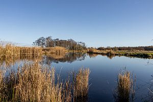 Strak blauwe hemel boven Het Twiske van Paul Veen