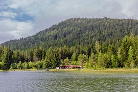 Spaziergang rund um den Wildsee von Oliver Hlavaty