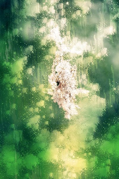Schilffahne (abstrakte Kunst) von Art by Jeronimo