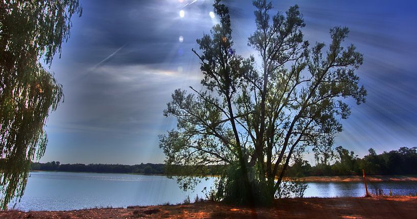 Arbre en contre-jour par Edgar Schermaul