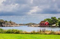 Landschap in het recreatiegebied Hasseltangen in Noorwegen van Rico Ködder thumbnail