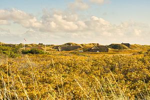Blåvand Dünen Landschaft in Dänemark an der Nordsee