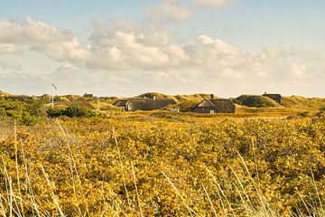 Blåvand dunes paysage au Danemark sur la mer du Nord sur Martin Köbsch