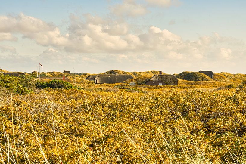 Blåvand duinlandschap in Denemarken aan de Noordzee van Martin Köbsch