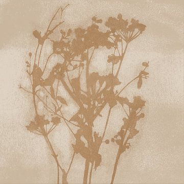 Flowers. Wabi-sabi botanical art in sand, white, ochre by Dina Dankers