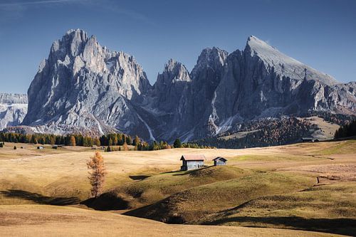 Waar de bergen ademen
