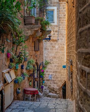Jaffa Alleys by Bart Hendrix