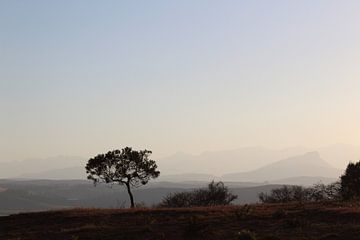Uitzicht, Drakensbergen, Zuid-Afrika.