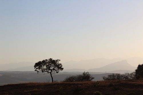 Uitzicht, Drakensbergen, Zuid-Afrika.