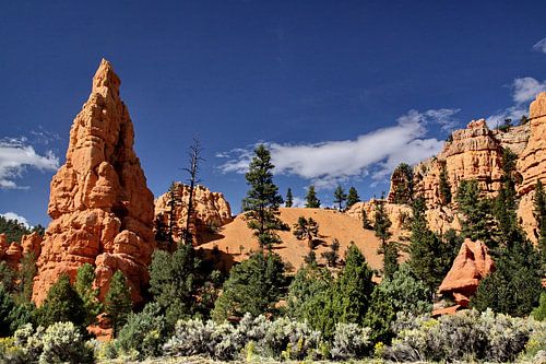 red canyon