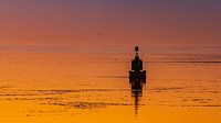 like a buoy in the water