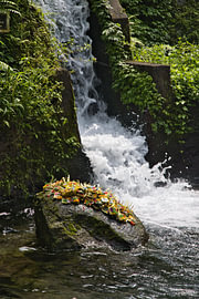 Heilige Quelle und Wasserfall im Tempel, Pura Mengening, Bali von Fotos by Jan Wehnert