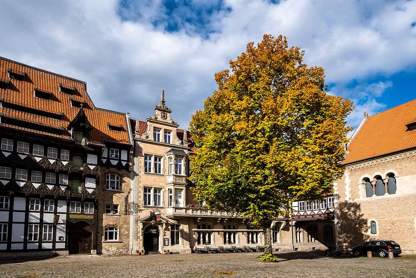 Kasteel Dankwarderode en Burgplatz in Brunswijk Duitsland van Dieter Walther