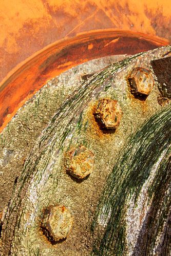 Roest, zeepokken en wier uit zee