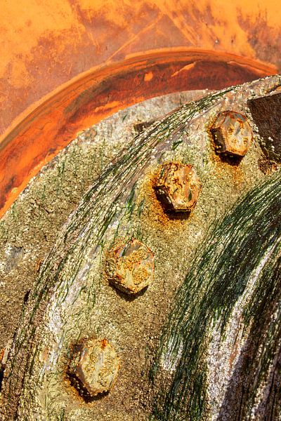 Rust, barnacles and seaweed by Sia Windig