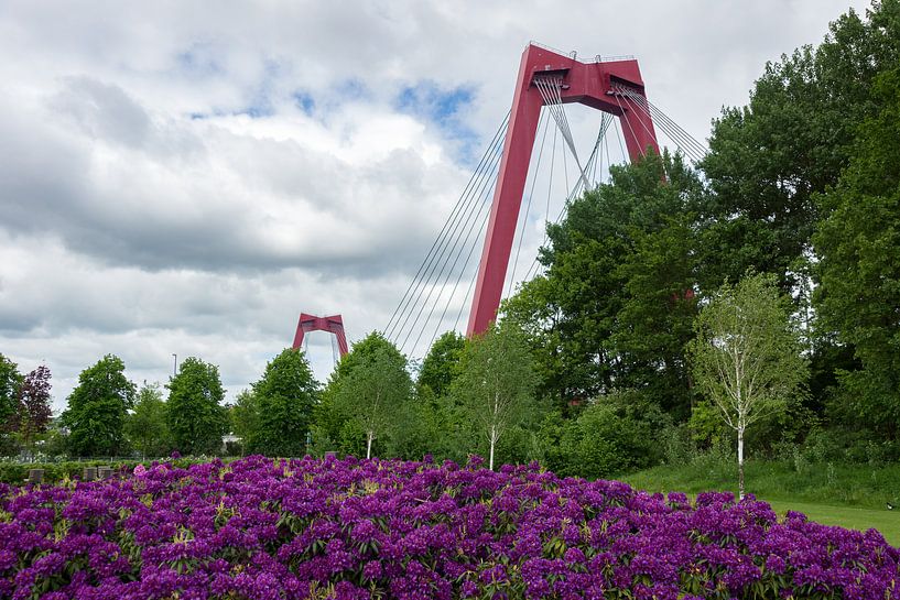 Willemsbrug Rotterdam by Rdam Foto Rotterdam