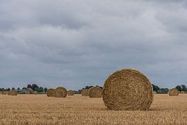 Stroh rollt auf einem niederländischen Feld von Ans Bastiaanssen