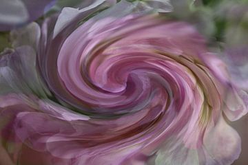 Kleurrijke spiraal Roze van Art by Janine
