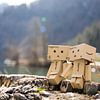 Danbo & Danbo bij Königssee van Marjolijn Barten