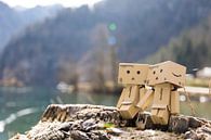 Danbo & Danbo am Königssee von Marjolijn Barten Miniaturansicht