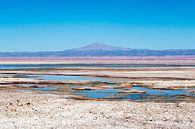 Colourful chaxa lagoon in the Atacama desert in Chile, South America by WorldWidePhotoWeb thumbnail