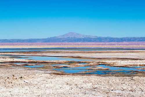 Bunte Chaxa-Lagune in der Atacama-Wüste in Chile, Südamerika