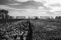 Les Polders flamands