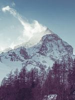 Sunrise in the Alps