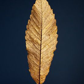 Feuille de châtaigne dorée sur Atelier Meta Scheltes