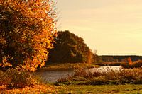 Herbstzauber