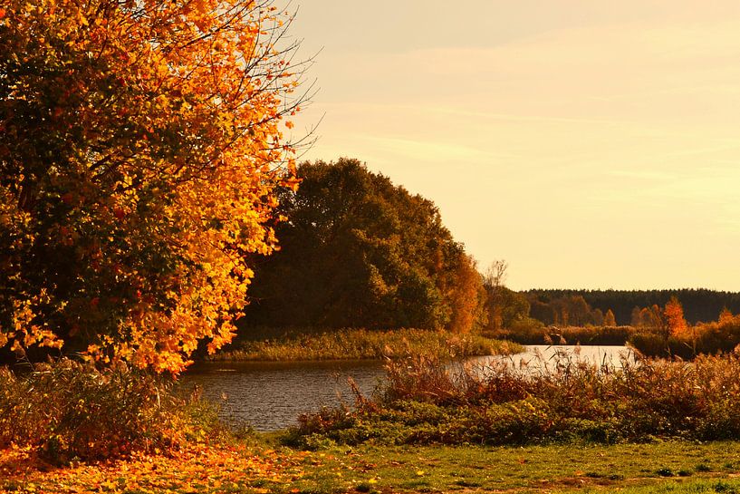 Herbstzauber von Peter Schmidt
