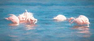 Flamingos fischen