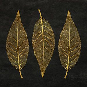 Drei Blätter in Gold auf schwarzem Hintergrund