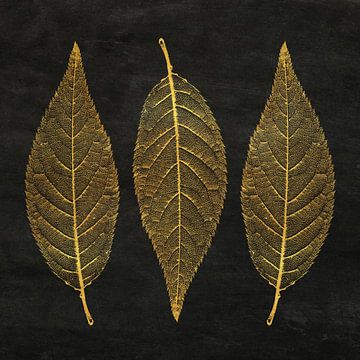 Drie bladeren in goud op zwarte achtergrond van Western Exposure