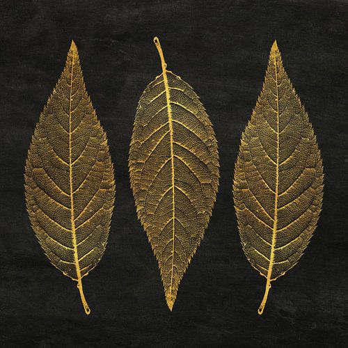 Drie bladeren in goud op zwarte achtergrond