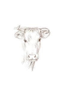 Cow portrait by Karen Kaspar