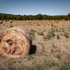 Strohballen in Frankreich von Jan van der Knaap